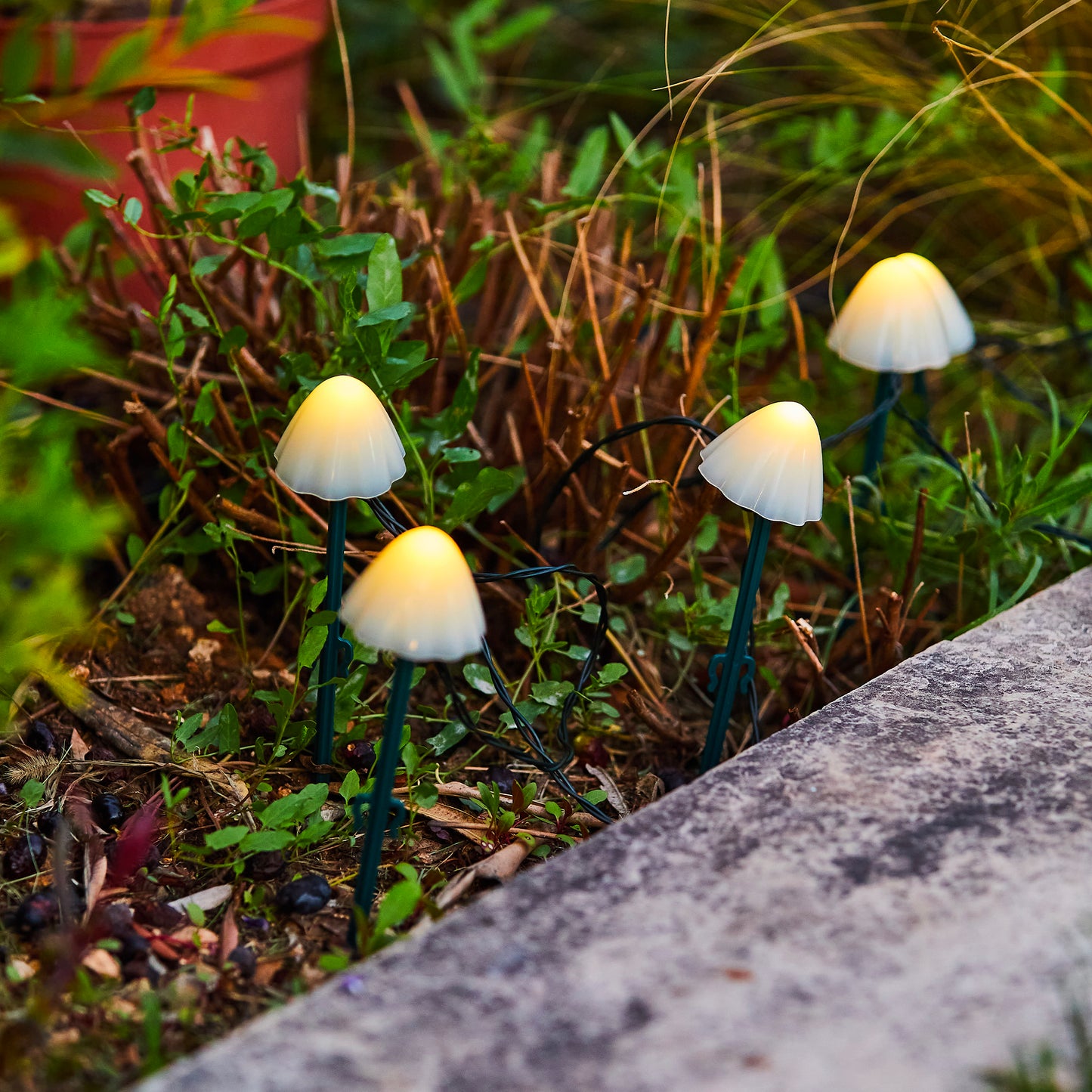 10 solar-powered mini-mushrooms to stick in CHAMPY driveway marking warm white LED 3.8m