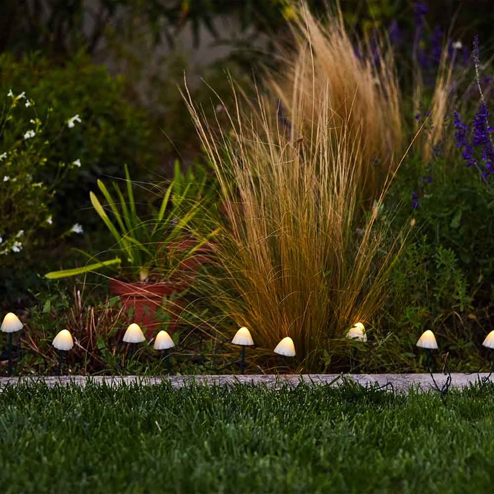 10 solar-powered mini-mushrooms to stick in CHAMPY driveway marking warm white LED 3.8m