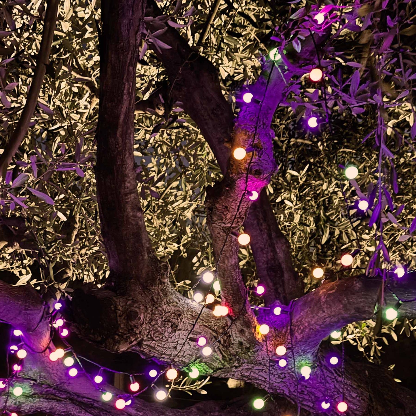 Lot de 2 guirlandes lumineuses solaires 100 ampoules rondes multicolores LED BILLY RGB 10.90m