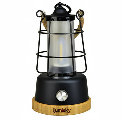 Cordless lantern with rope handle warm white LED / dimmable WILDY H23cm