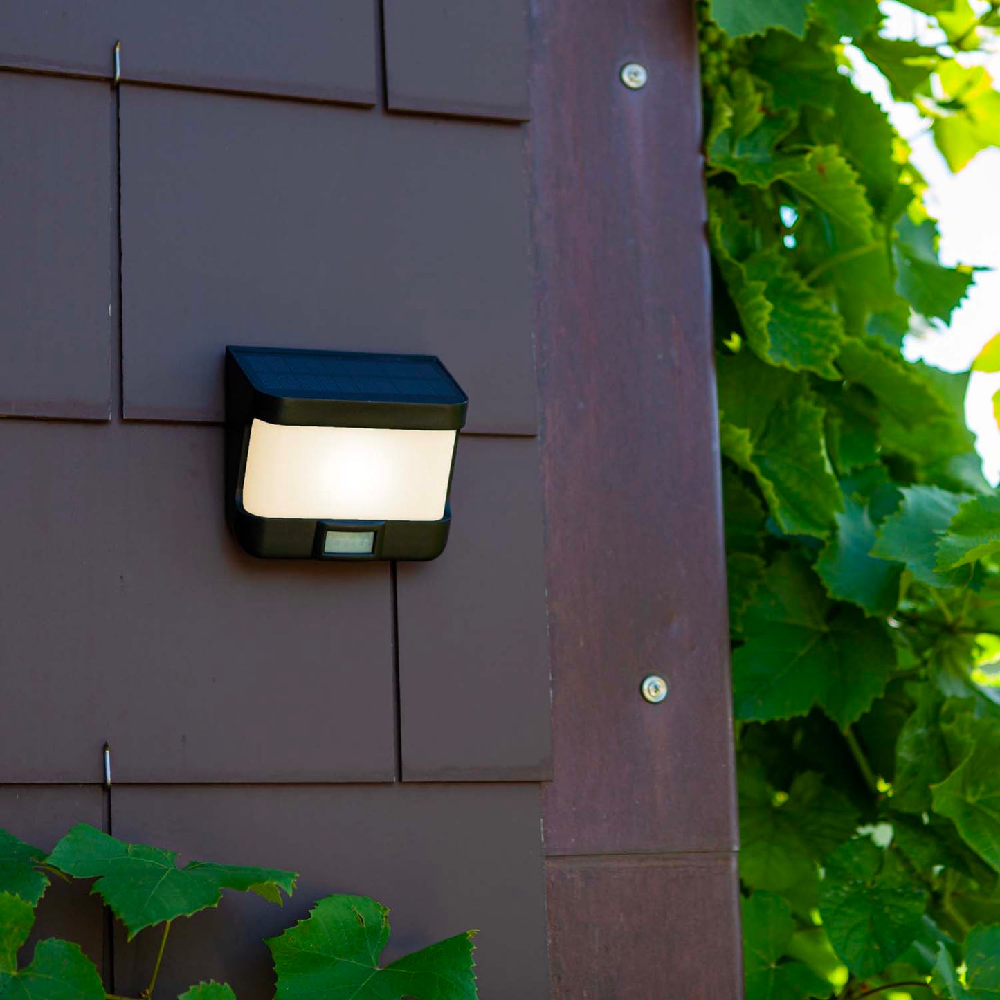 Applique murale solaire TRY SOLAR aluminium noir LED blanc avec détecteur de mouvement H6,9cm