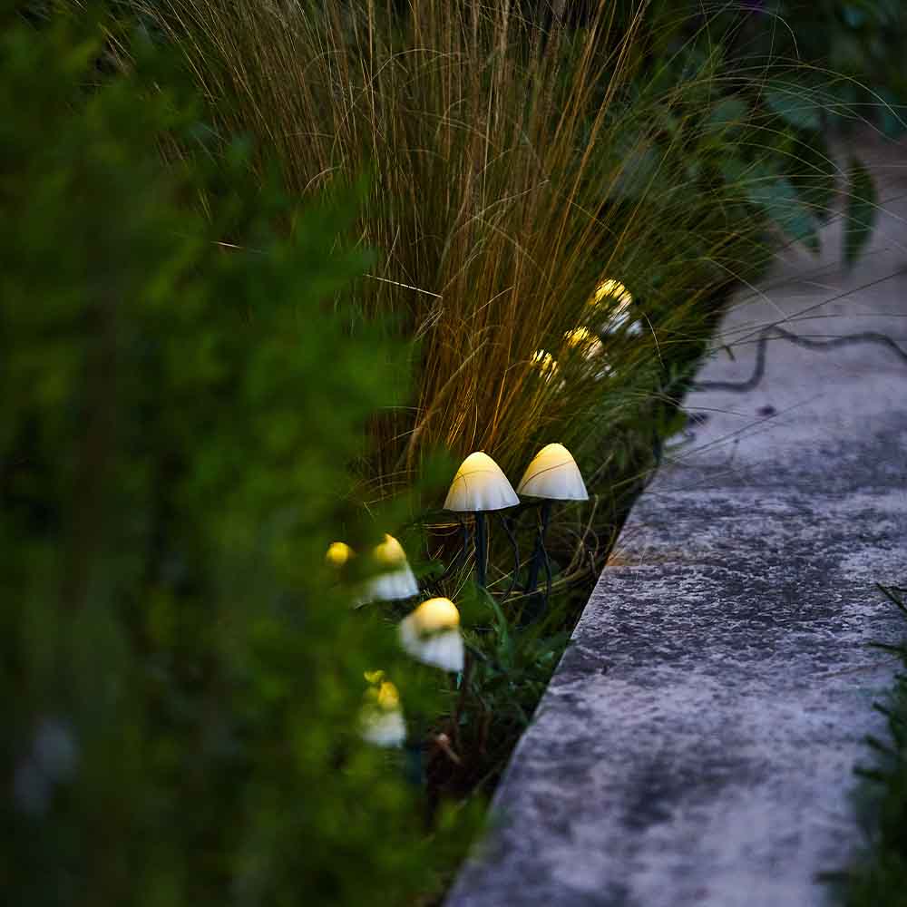 10 solar-powered mini-mushrooms to stick in CHAMPY driveway marking warm white LED 3.8m