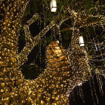 200 warm white LED solar light garland outdoor decoration YOGY SOLAR WARM 16.30m 8 modes