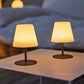 Set of 4 wireless table lamp gray steel foot LED warm white/white dimmable STANDY MINI Rock H25cm