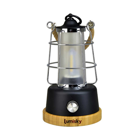 Cordless lantern with rope handle warm white LED / dimmable WILDY H23cm